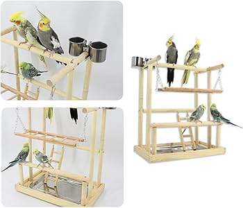 Amazon | Jinmoioy 天然木製 止まり木ジム 鳥の遊び場 鳥かごスタンド