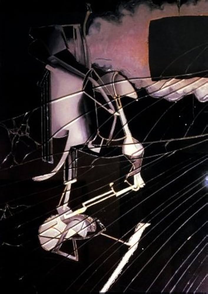 デュシャン大ガラス: と瀧口修造シガー・ボックス | 奈良原 一高 |本