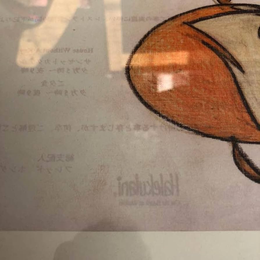 奈良美智 額装 ペイント ポスター ハレクラニ Amazon.co.jp: 奈良美智