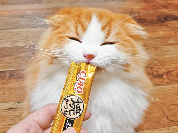 Amazon | 猫 プレゼント ギフト いなば CIAO ちゅーる 猫 全種