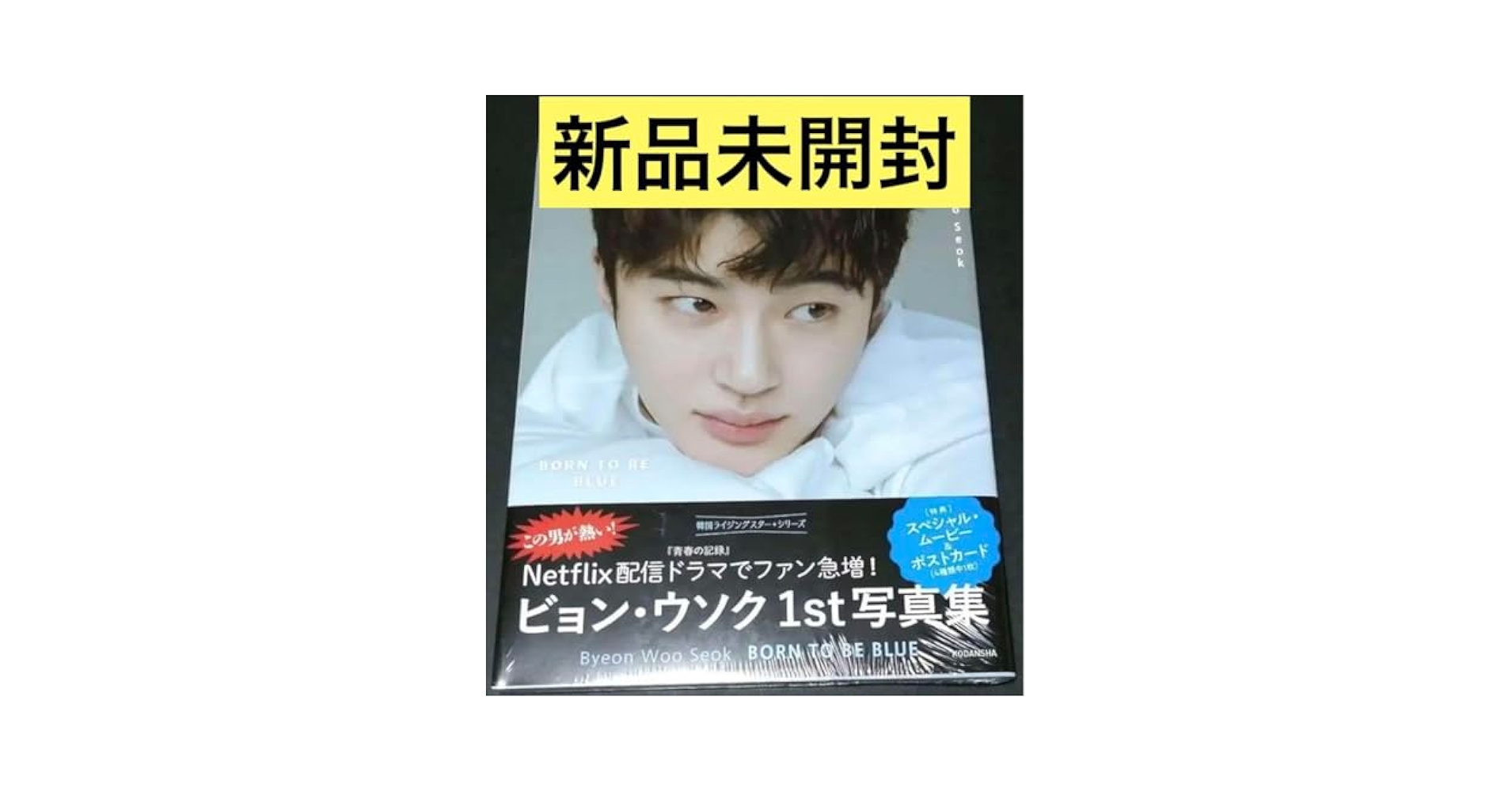 ビョンウソクピョンウソク 1st 写真集