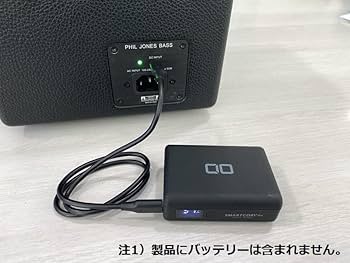 Amazon.co.jp: Phil Jones Bass PJB NANOBASS X4C Forest Green