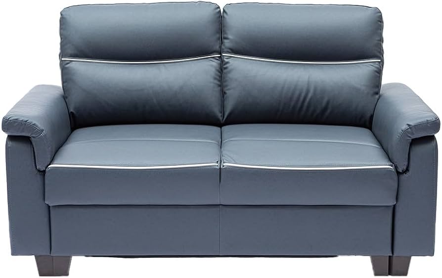 Amazon.com: Camping World Thomasville EZ-Out Sleeper Sofa, Nordic