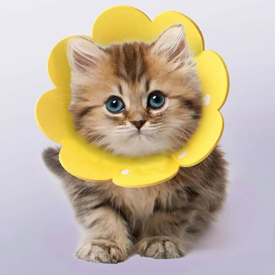 エリザベスカラー 花型 Mサイズ イエロー 15点 エリザベスカラー M