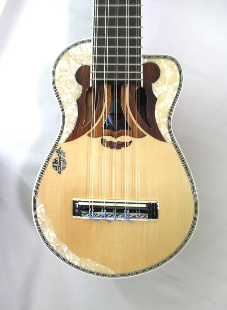 チャランゴハードケース付き チャランゴハードケース付き