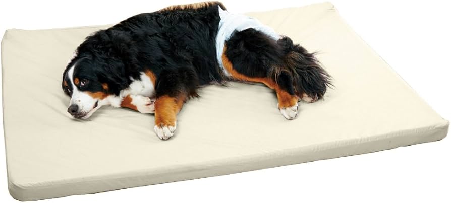 Amazon | アルテア体圧分散マット クリーム L 犬 ベッド 大型犬 中型犬