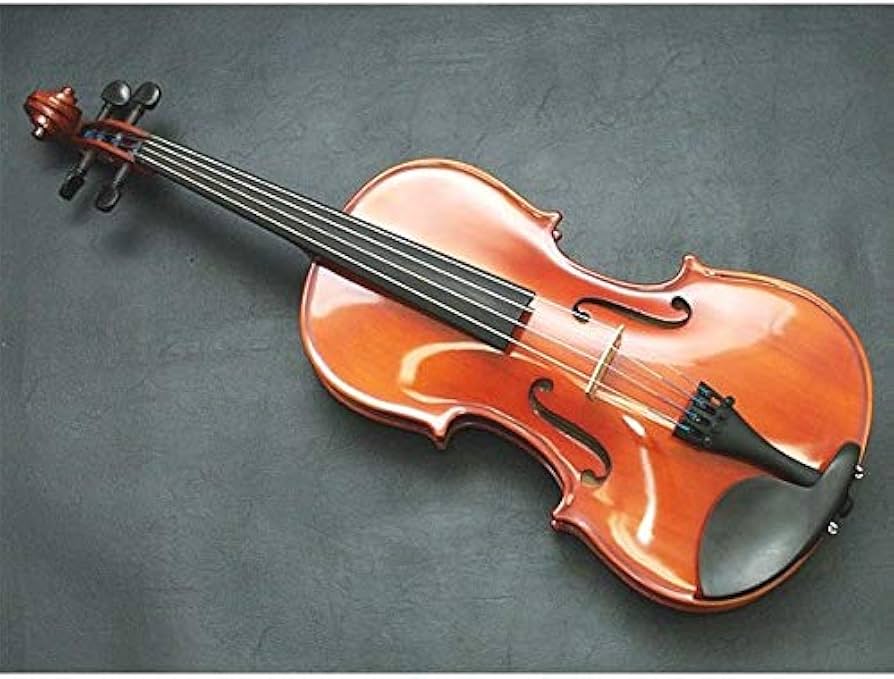 Amazon.co.jp: カルロジョルダーノ ビオラアウトフィット VL-1 15.5