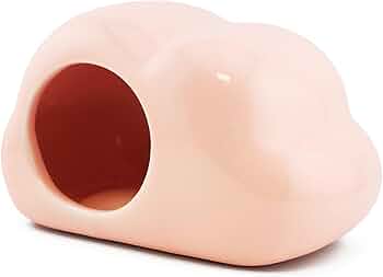 511D2apy4hL._AC_UF350,