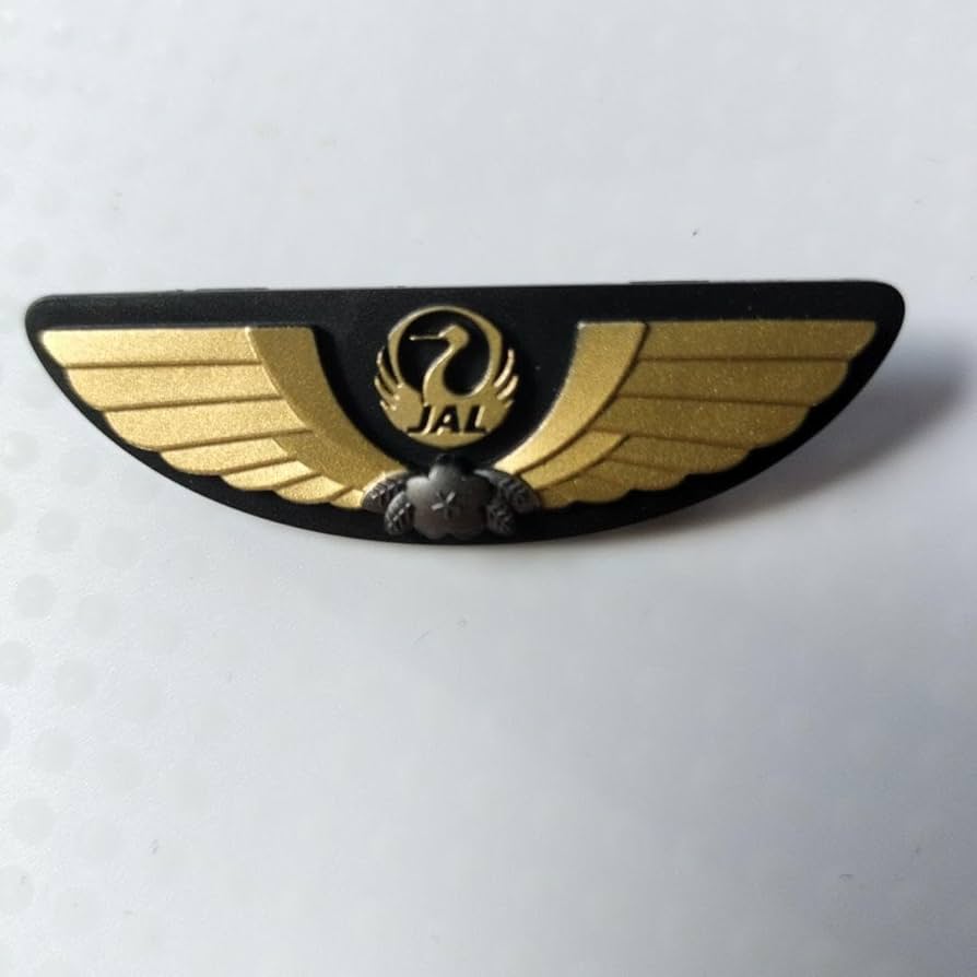 Amazon.co.jp: 貴重 JAL パイロットのウイングバッジ : 文房具