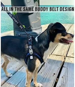 Amazon | バディーベルト BBスポーツリード・ブルーカモSサイズ 小型犬