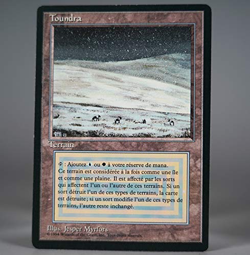 MTG Tundra 英語 リバイズド Tundra 英語版 MTG リバイズド MTG Tundra