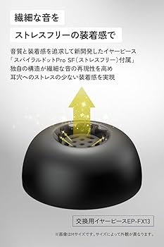 Amazon.co.jp: JVCケンウッド Victor WOOD master ワイヤレスイヤホン