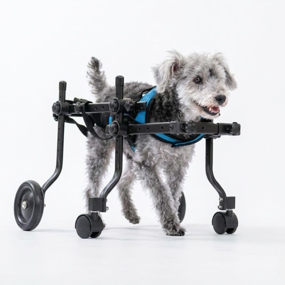 Amazon.co.jp: MIKEART 犬用車椅子 4輪 歩行器 小型犬 中型犬 全身