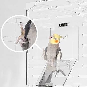 Amazon.co.jp: クリアアクリル鳥かご 【2023年新登場 鳥籠 インコ