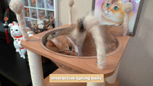 Amazon.co.jp: PETEPELA(ぺテぺラ) キャットタワー 木製 宇宙船 大型猫