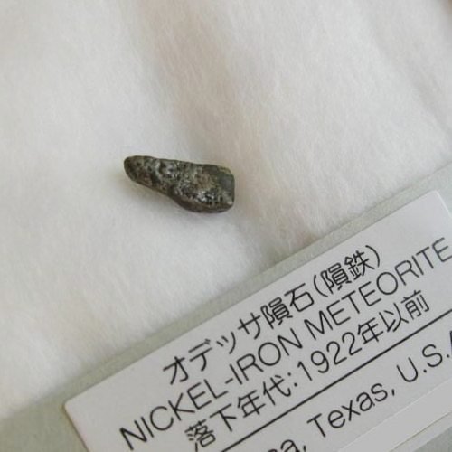 Amazon | オデッサ隕石標本 (隕鉄) Odessa | 岩石・鉱物 | おもちゃ