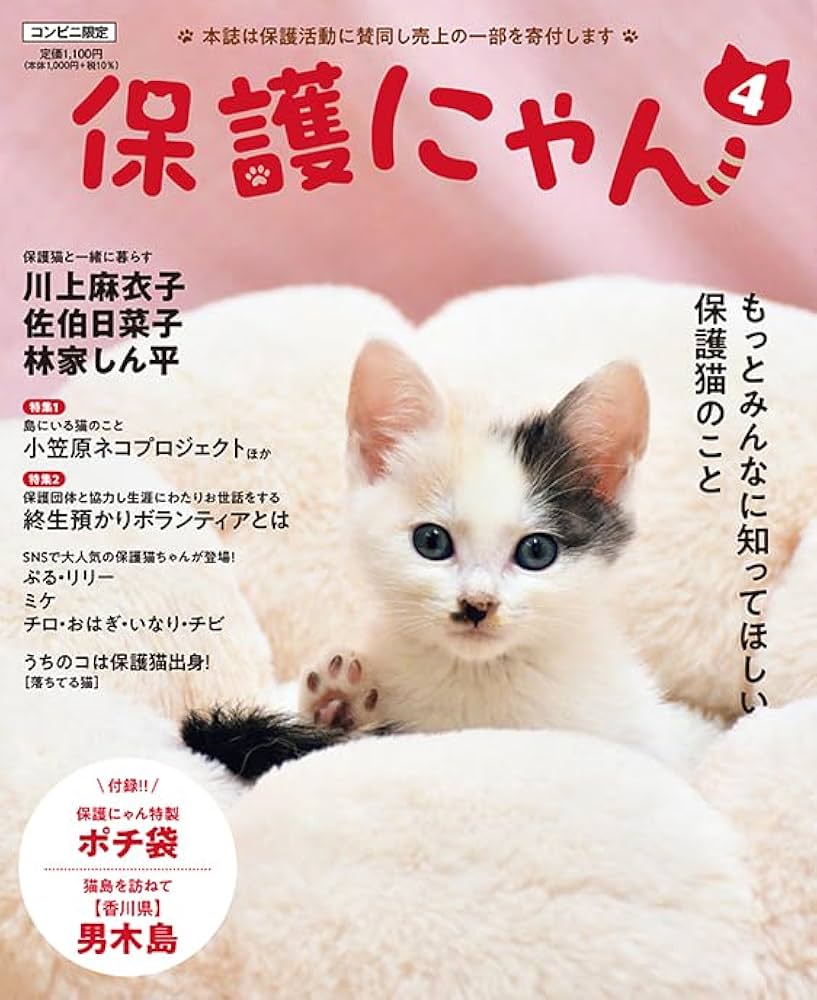 保護にゃん（4） | インテルフィン編集部 |本 | 通販 | Amazon