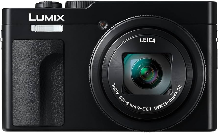Amazon.com : Panasonic LUMIX ZS99 Point and Shoot Camera, Compact