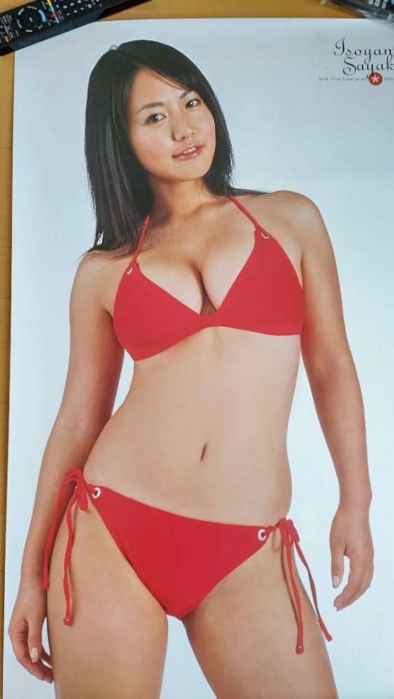 相武紗季 週刊プレイボーイ 等身大 水着 ポスター