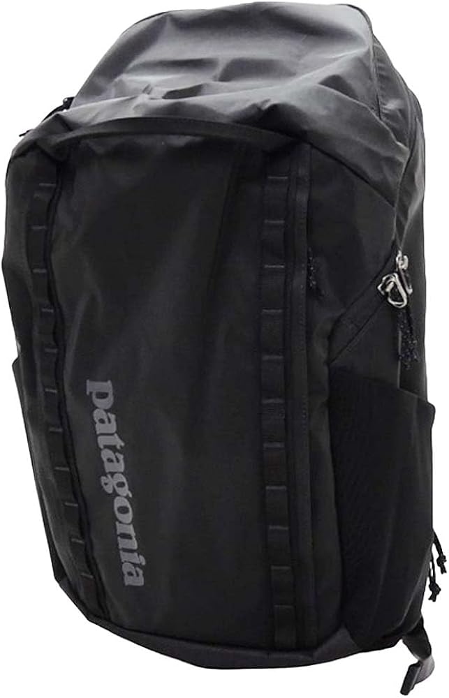 Amazon.co.jp: [パタゴニア] リュック バックパック ブラックホール