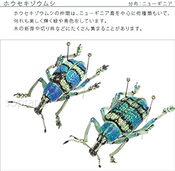 51wSz4YA6IS._AC_UF350,