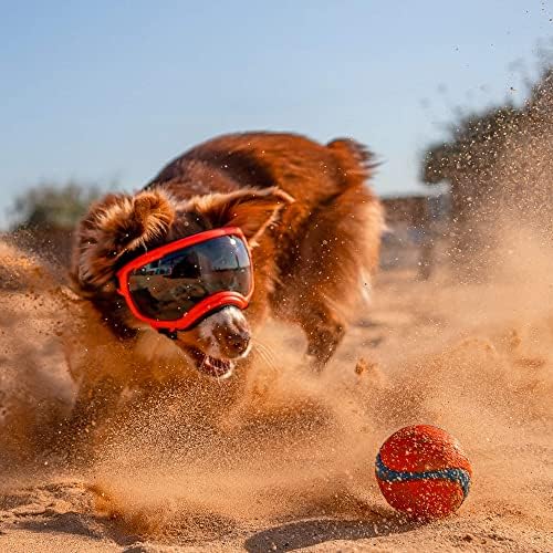 Amazon.co.jp: Rex Specs V2 犬用ゴーグル(XSサイズ、ブラック