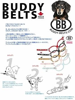 Amazon | バディーベルトハーネス・ホワイトキャップ(Whitecap)2.5号