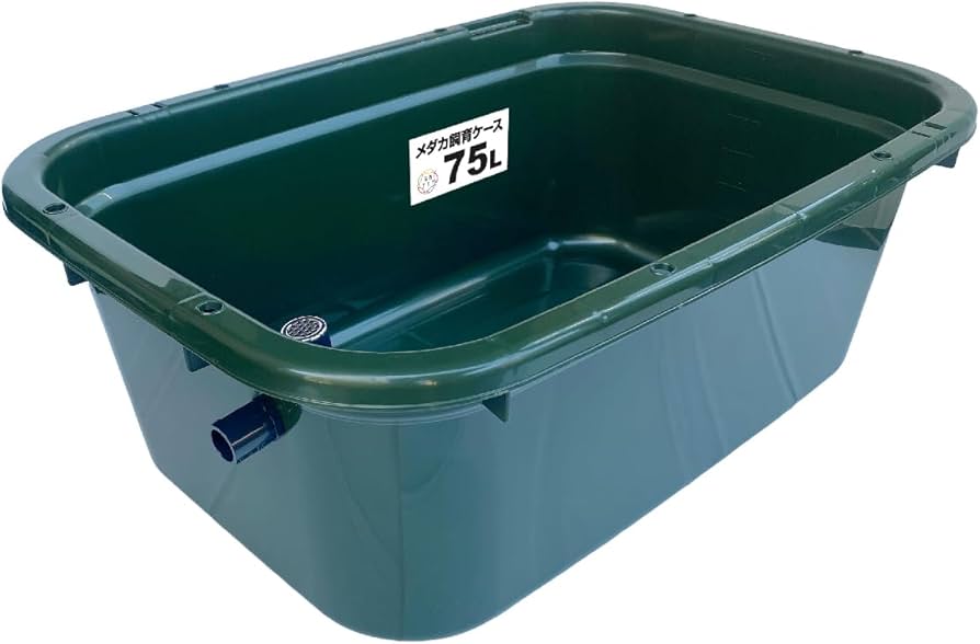 Amazon | 五色アクア メダカ飼育容器 75リットル 深緑（ダークグリーン