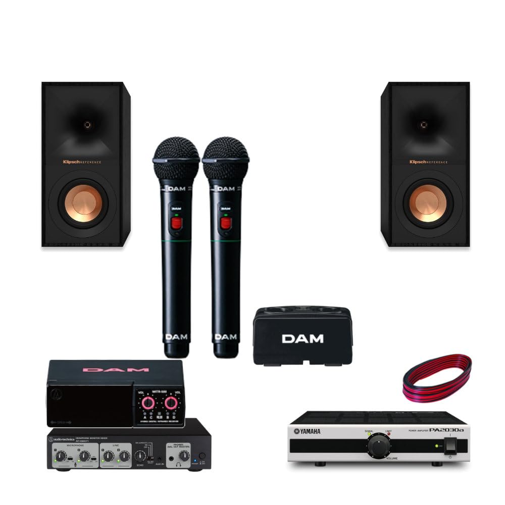 パーティーDAM ダム カラオケ マイク ホームカラオケ 取りに来られる方