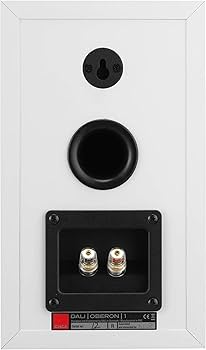 Amazon.com: DALI Oberon 1 Bookshelf Speakers - White (Pair