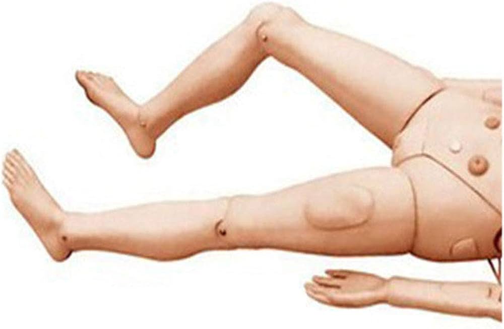 Amazon.co.jp: 人体模型 医療 看護実習モデル人形 医療 多機能