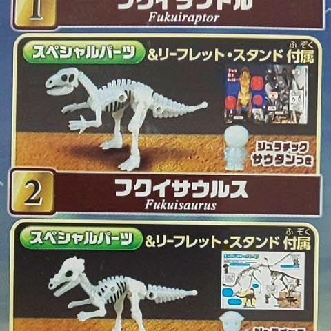 新品 ほねほねザウルス×福井県立恐竜博物館SP コンプリート コンプ