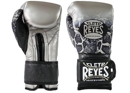 レイジェス14オンス グローブ レイジェス 14オンスグローブ レイジェス