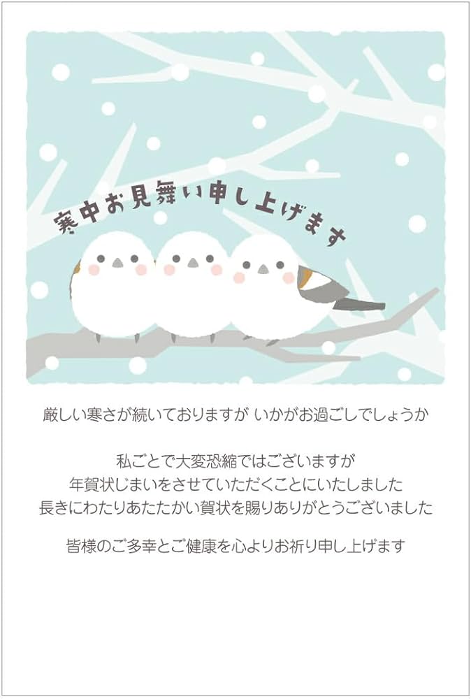 Amazon | [メイドインたんたん] 官製 10枚 寒中見舞いはがき 年賀状