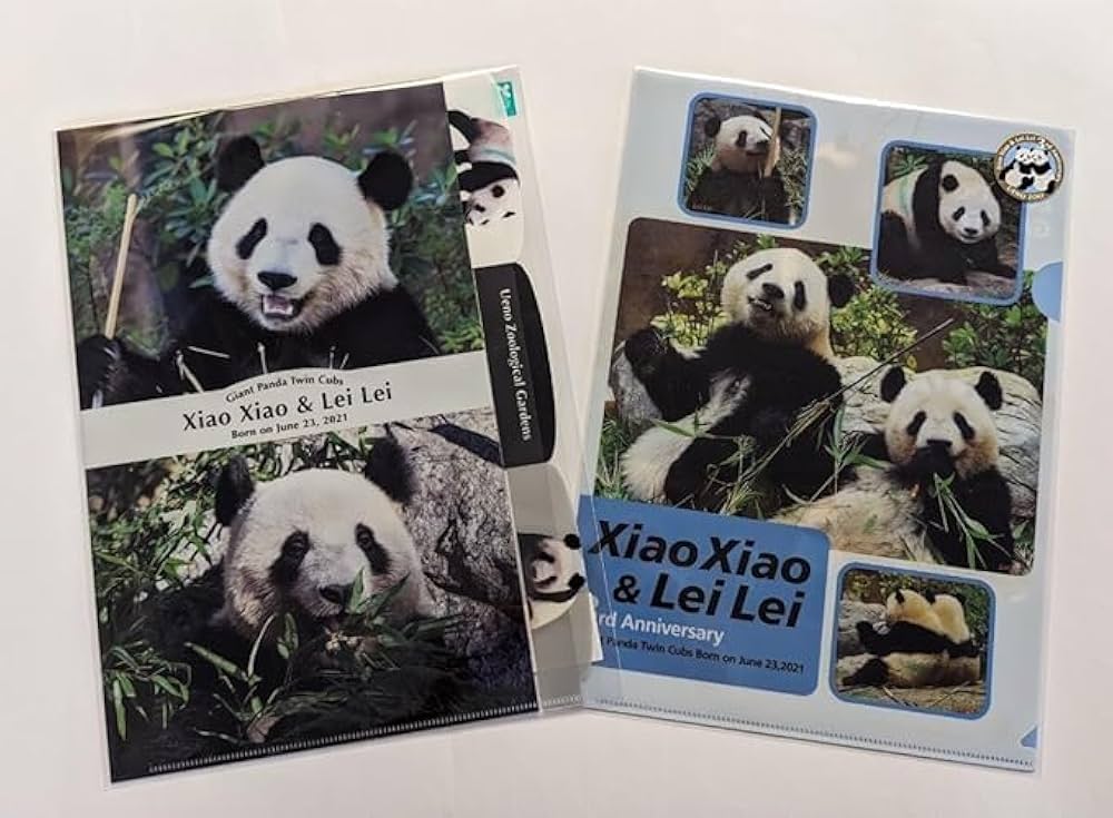 Amazon.co.jp: 上野動物園 双子パンダ シャオシャオ レイレイ 3