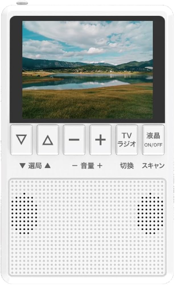 Amazon | BLUEWIDE ラジオ 3.2型 ワンセグ AM FM ワイドFM対応 防災