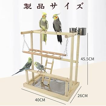 Amazon | 鳥アスレチック バードアスレチック インコ 遊び場 止まり木