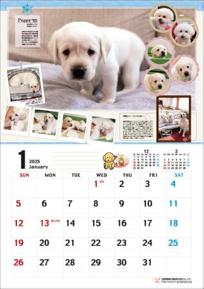 Amazon | 盲導犬寄付金付 「スマイルカレンダー」＆「盲導犬PR隊 卓上