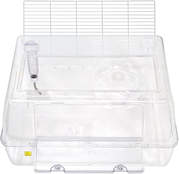 Amazon | 三晃商会 SANKO C602 ルーミィ60 グランスぺース クリアー