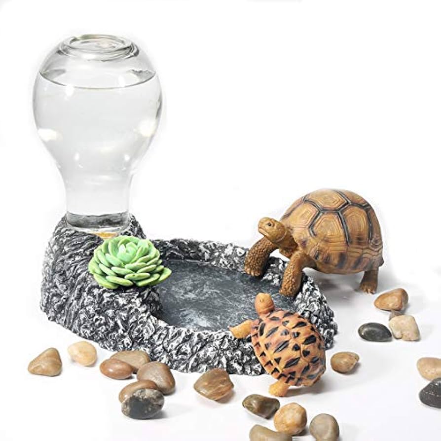 Amazon | 爬虫類 水入れ 餌入れ 食器 餌 自動給水器 エサ入れ エサ皿