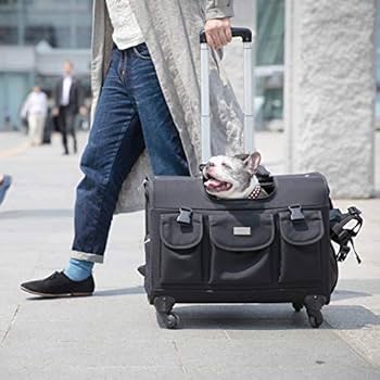 愛品倶楽部柏店】TAKE ME リュック型ペットキャリー Lサイズ