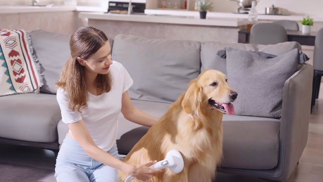 Amazon.co.jp: LvittyPet 7-in-1 ペットトリマーセット 犬用掃除機