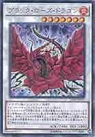 5 遊戯王 ブラック・ローズ・ドラゴン ホログラフィックレア 遊戯王