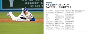 51HbcLYWYxL._AC_UF350,