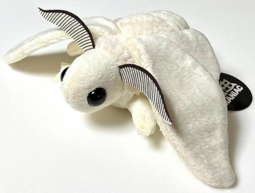 昆虫 MANIAC 限定 かいこ ぬいぐるみ 昆虫展 カイコ モス 蚕 むし 蛾