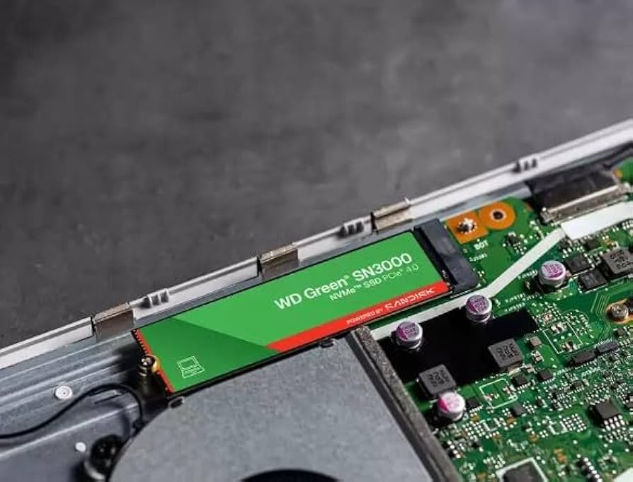 Amazon.com: Western Digital 500GB WD Green SN3000 NVMe Internal