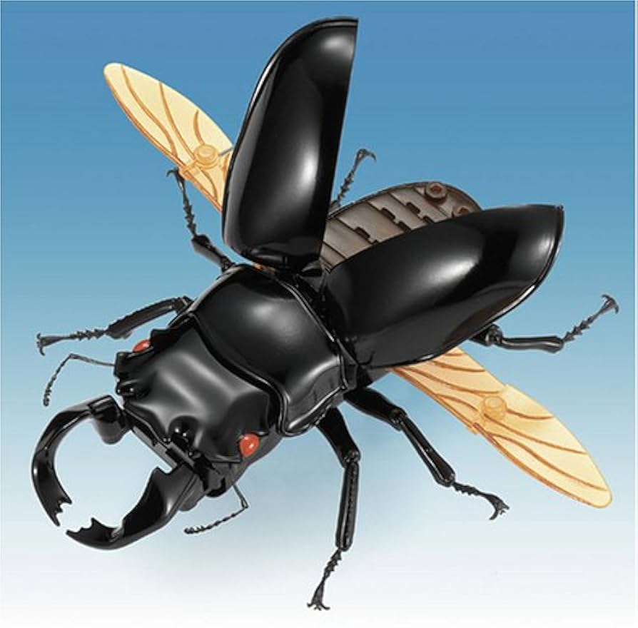 タランドゥスツヤクワガタ 029 【公式通販】