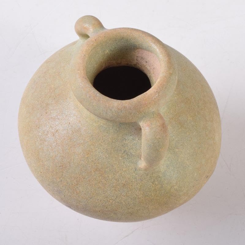 茶道具 唐物 青磁 振出 前大徳 佐竹大鑑書付 共箱 V 7282 Amazon.co.