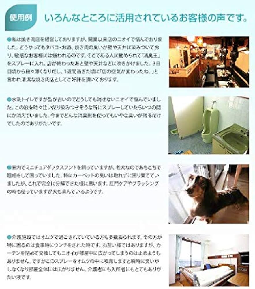 Amazon.co.jp: 消臭王GT－S 液体 ・ 無臭 500ml これぞ本物