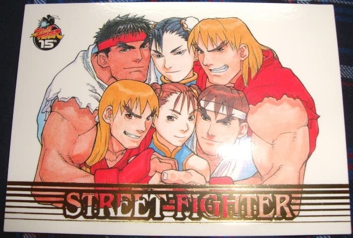 超希少 ケン vs 春麗 ストリートファイター シール スト2 カード